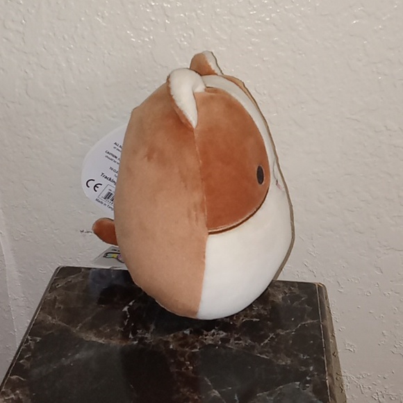 Squishmallow Reginald The Corgi 5 Inches - Picture 4 of 5